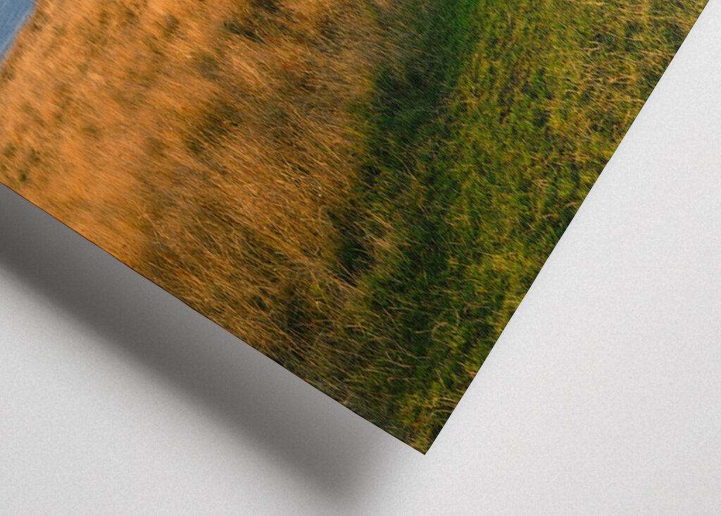 Österlen - Ale Stenar