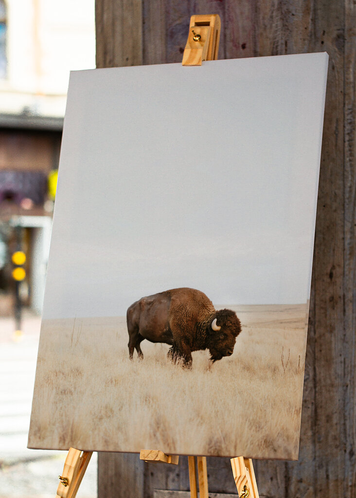  Rustic Bison