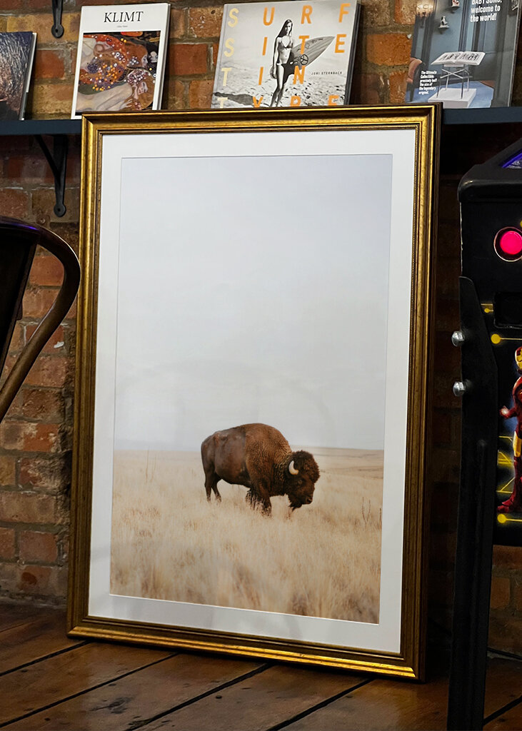  Rustic Bison