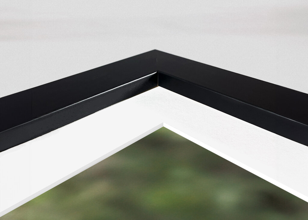 Ræveunge i solstråle