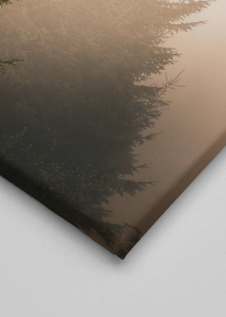 A köd suttogása: Az elvarázsolt erdő nyugalma