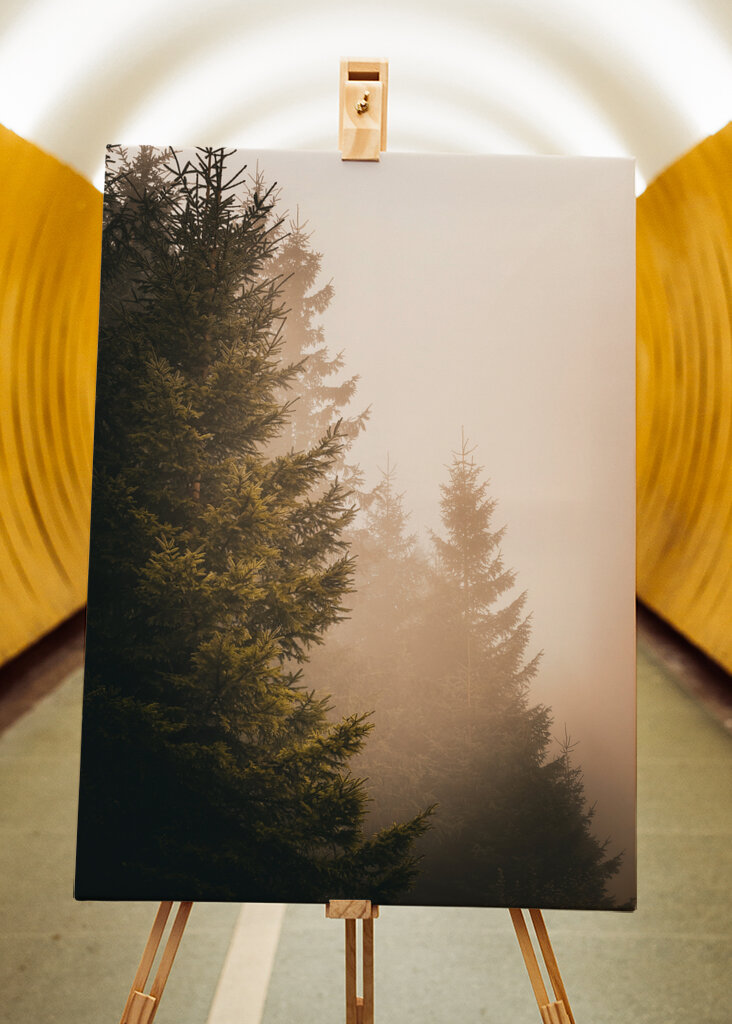 A köd suttogása: Az elvarázsolt erdő nyugalma