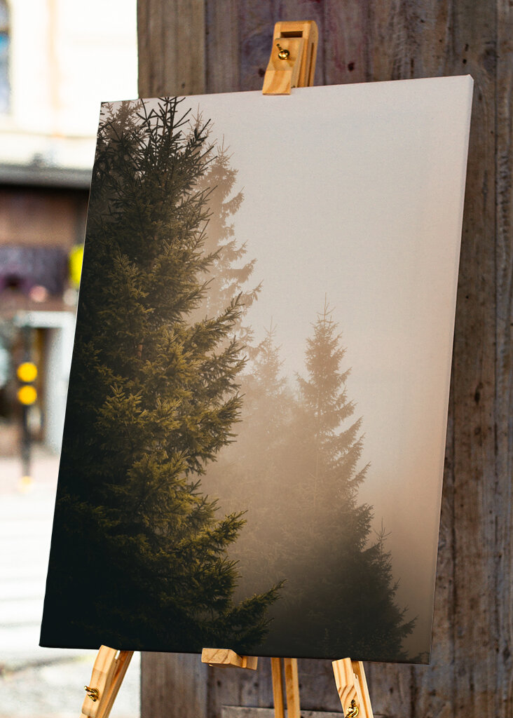 A köd suttogása: Az elvarázsolt erdő nyugalma