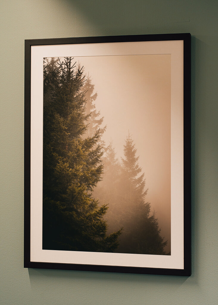 A köd suttogása: Az elvarázsolt erdő nyugalma