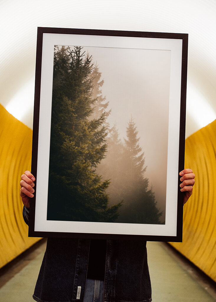 A köd suttogása: Az elvarázsolt erdő nyugalma