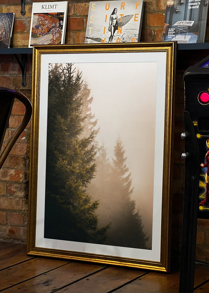 A köd suttogása: Az elvarázsolt erdő nyugalma