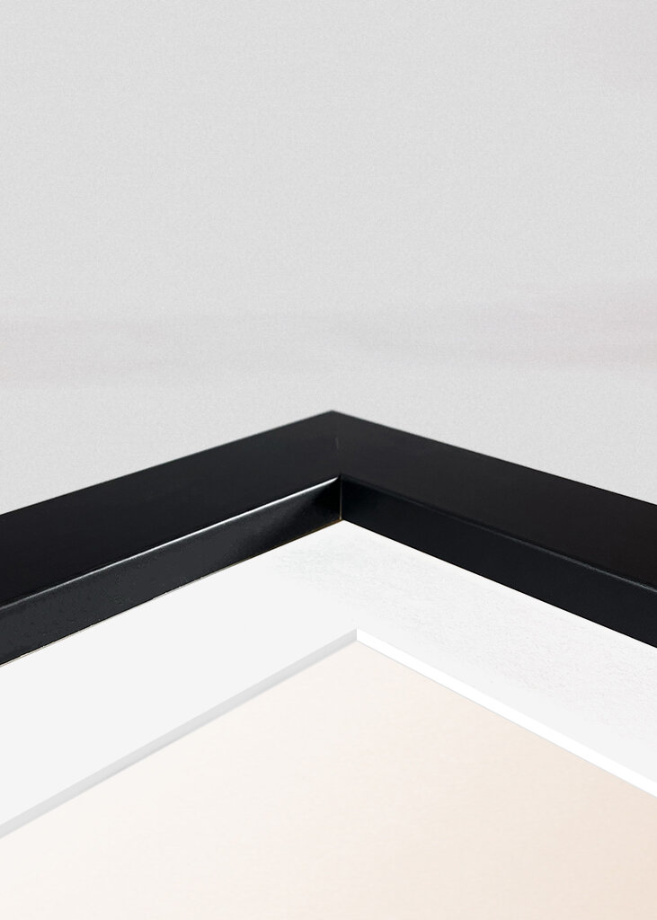 A köd suttogása: Az elvarázsolt erdő nyugalma