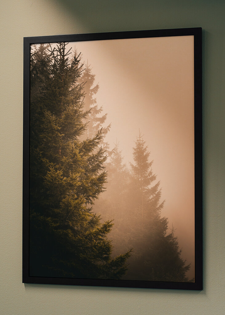 A köd suttogása: Az elvarázsolt erdő nyugalma