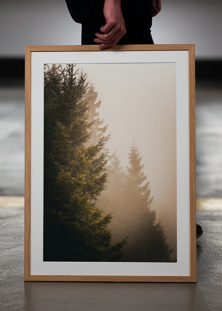 A köd suttogása: Az elvarázsolt erdő nyugalma