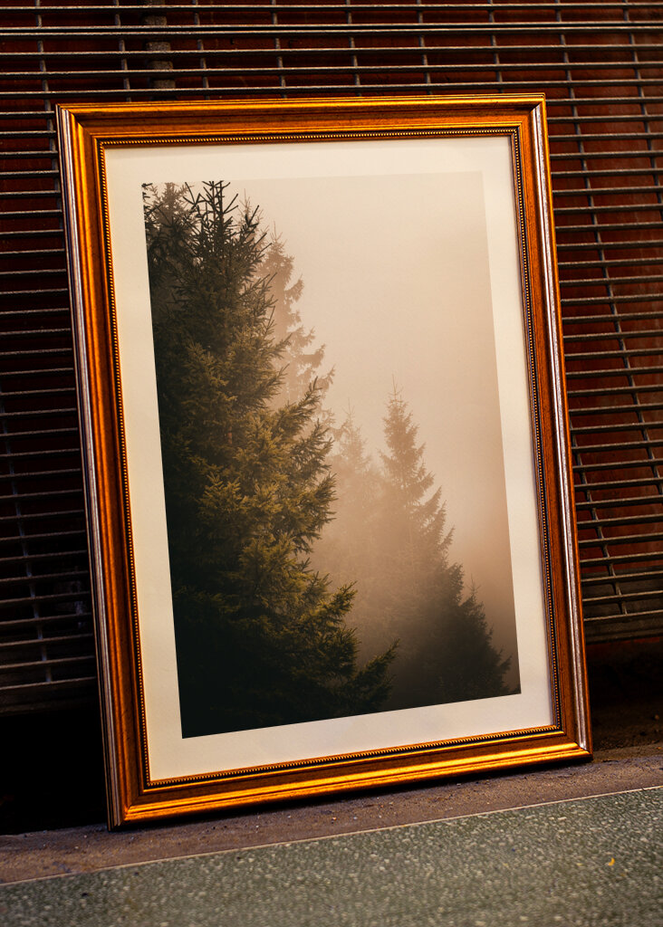 A köd suttogása: Az elvarázsolt erdő nyugalma