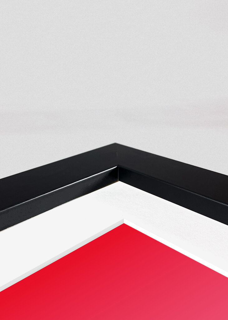 modern Renaissance rabbit portrait no.003