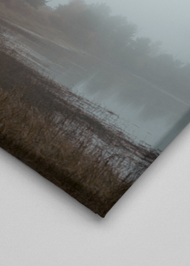 Das Flüstern des Nebels: ein friedlicher Morgen in der Natur