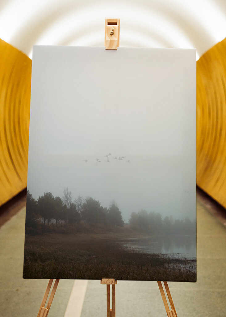Das Flüstern des Nebels: ein friedlicher Morgen in der Natur