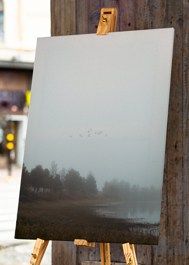 Das Flüstern des Nebels: ein friedlicher Morgen in der Natur