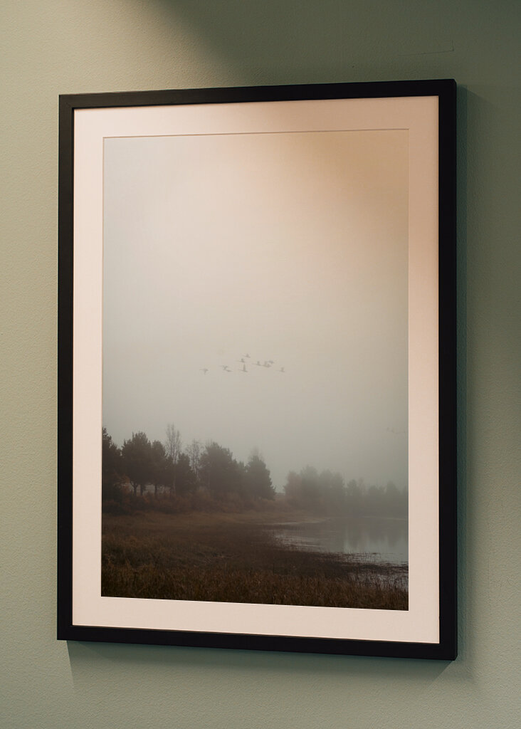 Das Flüstern des Nebels: ein friedlicher Morgen in der Natur