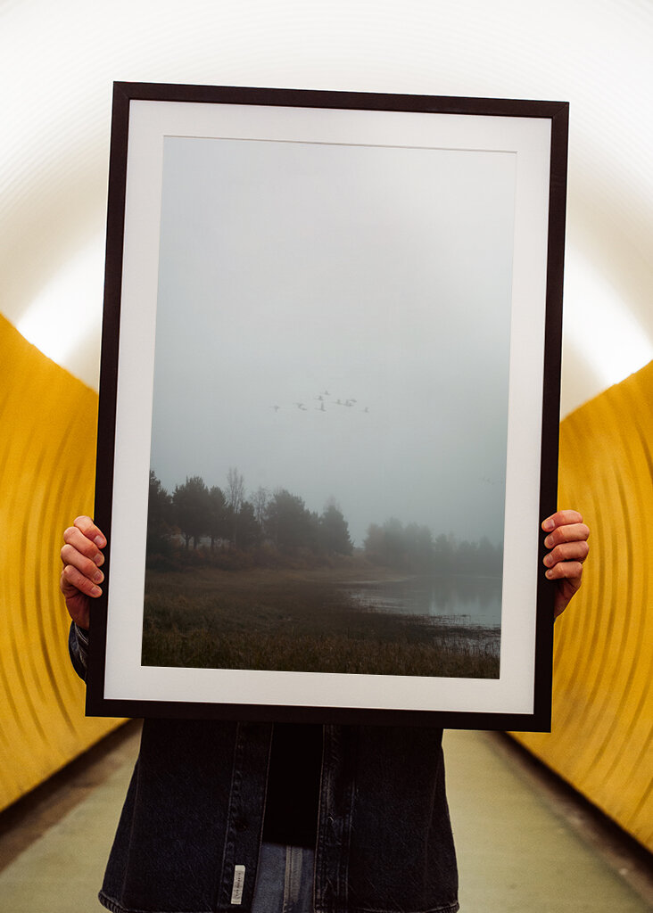 Das Flüstern des Nebels: ein friedlicher Morgen in der Natur