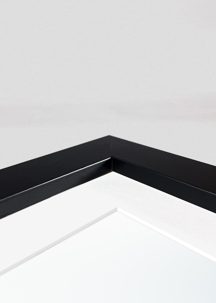 Das Flüstern des Nebels: ein friedlicher Morgen in der Natur