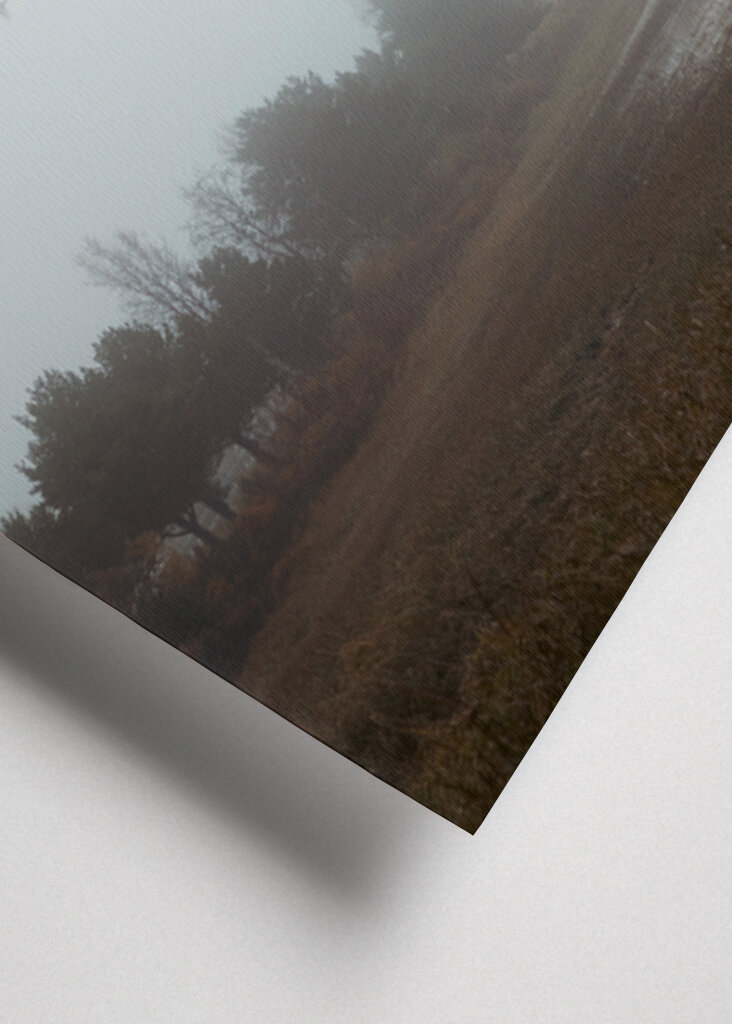 Das Flüstern des Nebels: ein friedlicher Morgen in der Natur