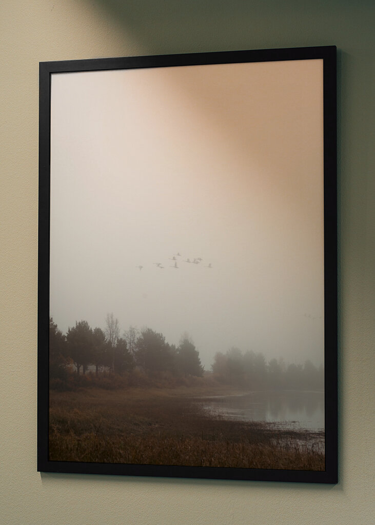 Das Flüstern des Nebels: ein friedlicher Morgen in der Natur