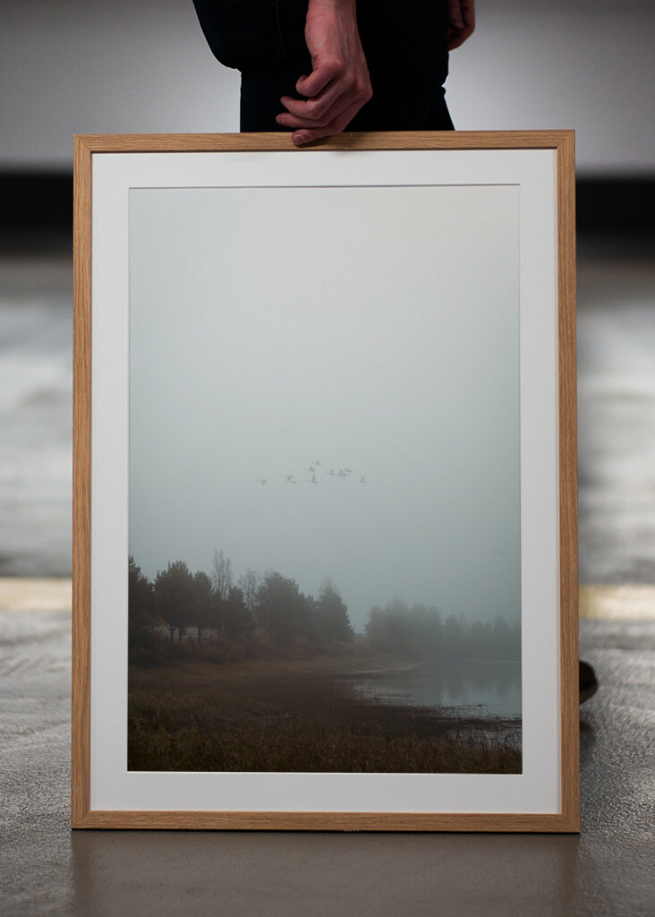 Das Flüstern des Nebels: ein friedlicher Morgen in der Natur