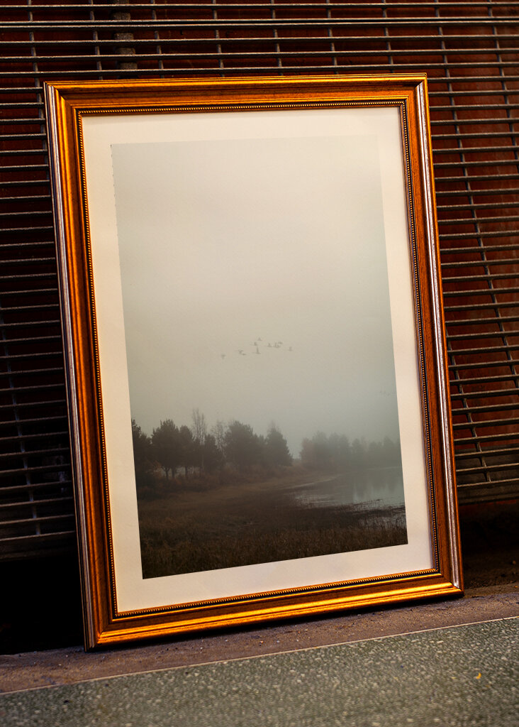 Das Flüstern des Nebels: ein friedlicher Morgen in der Natur