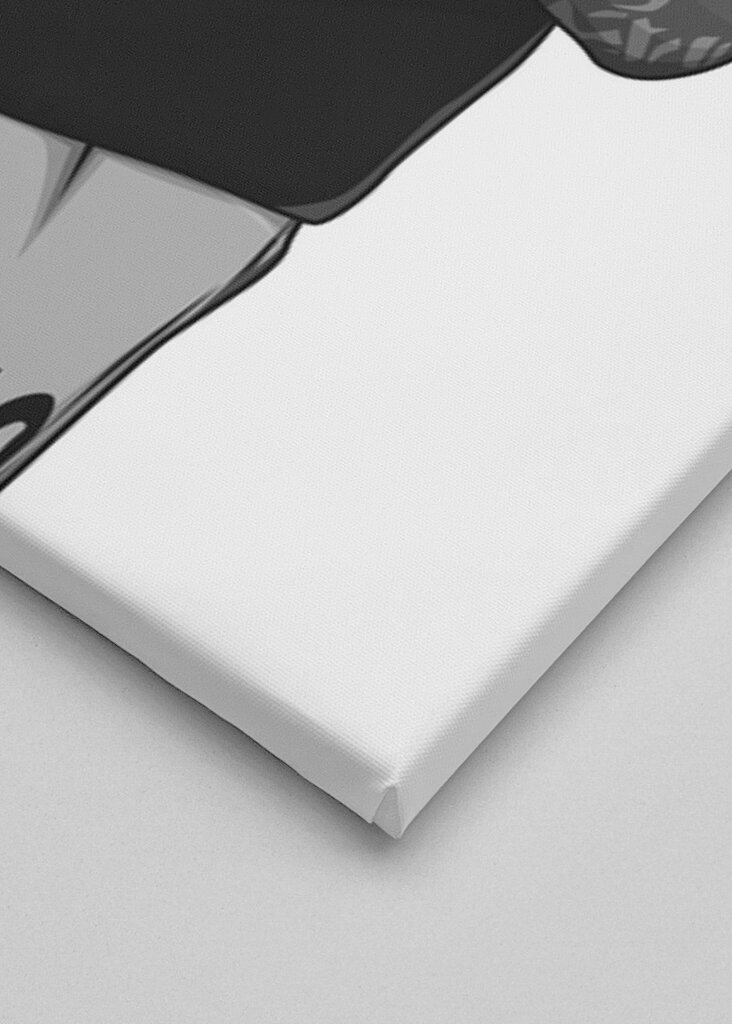 Benjamin Šeško Černobílá verze