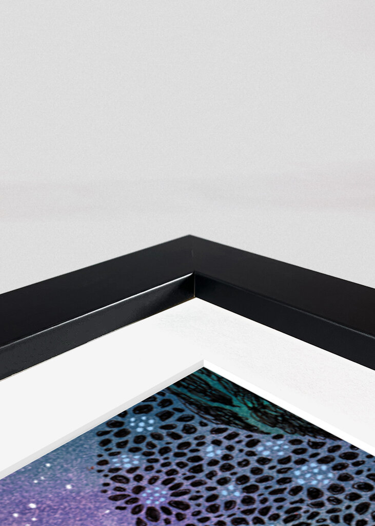 The Forgotten Garden