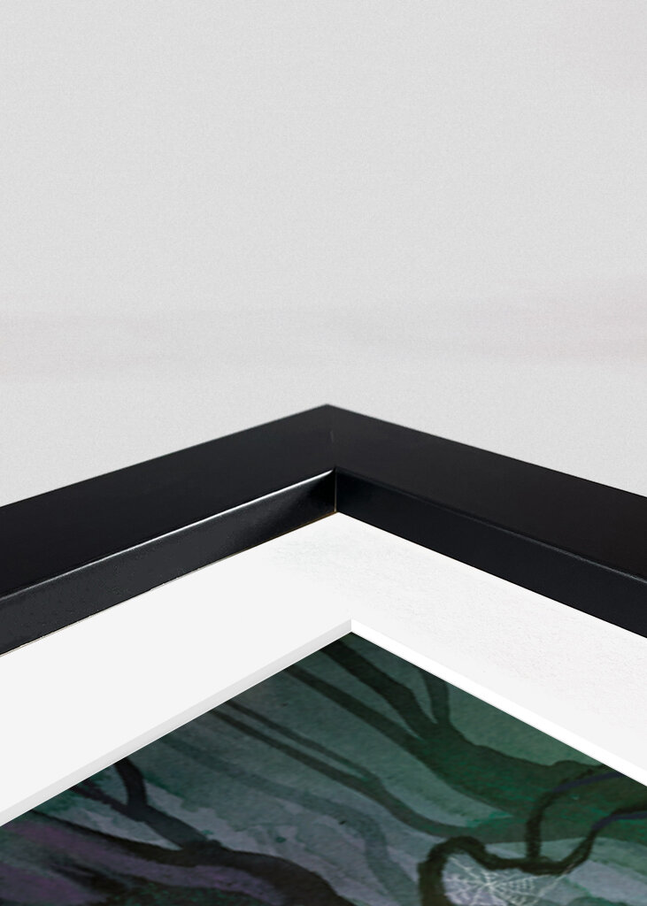 Shadow in the Forest