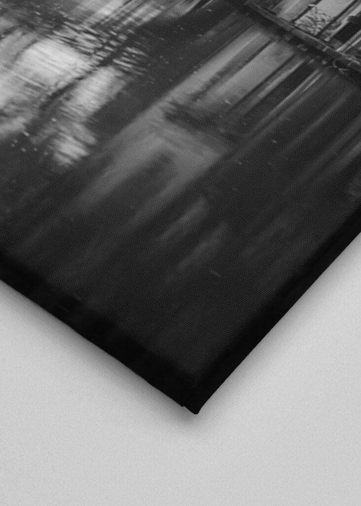 Serene Reflections: A Black and White View of Utrecht Canals