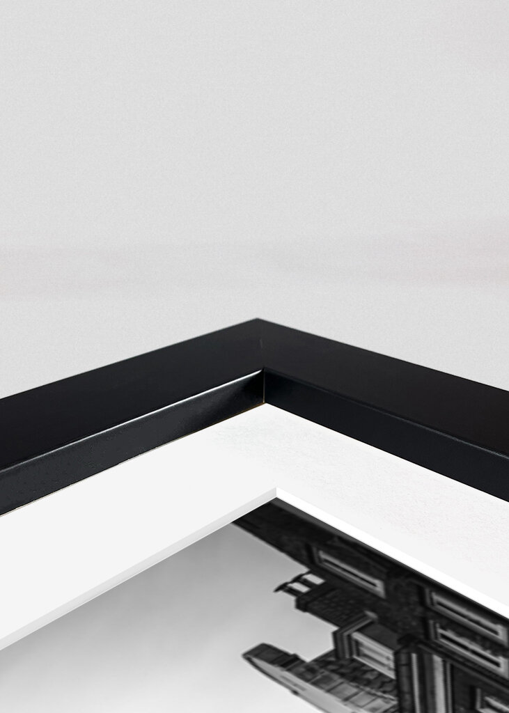 Serene Reflections: A Black and White View of Utrecht Canals