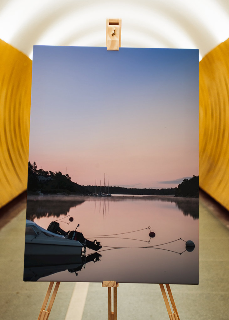 Swedish Summer Morning