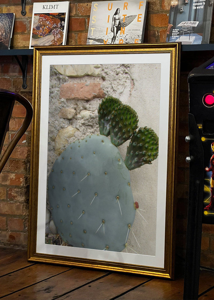 Cactus
