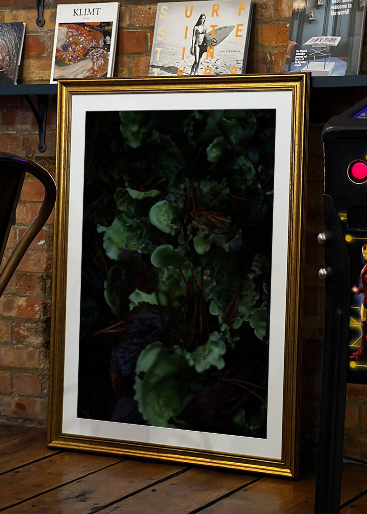 En frodig undervegetation