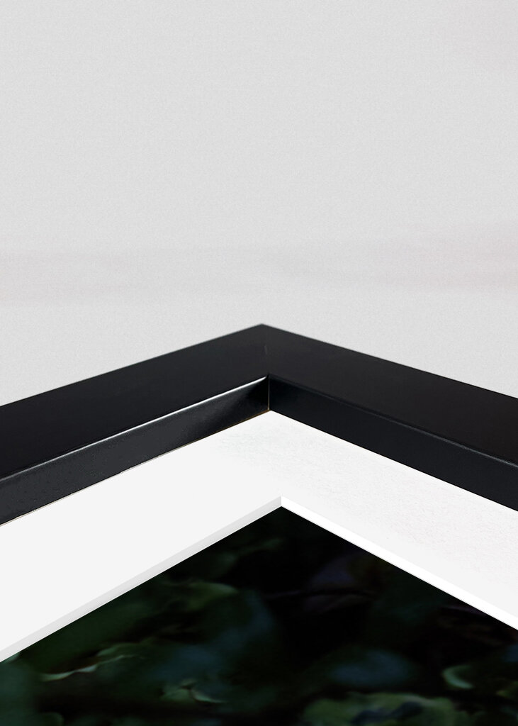 En frodig undervegetation