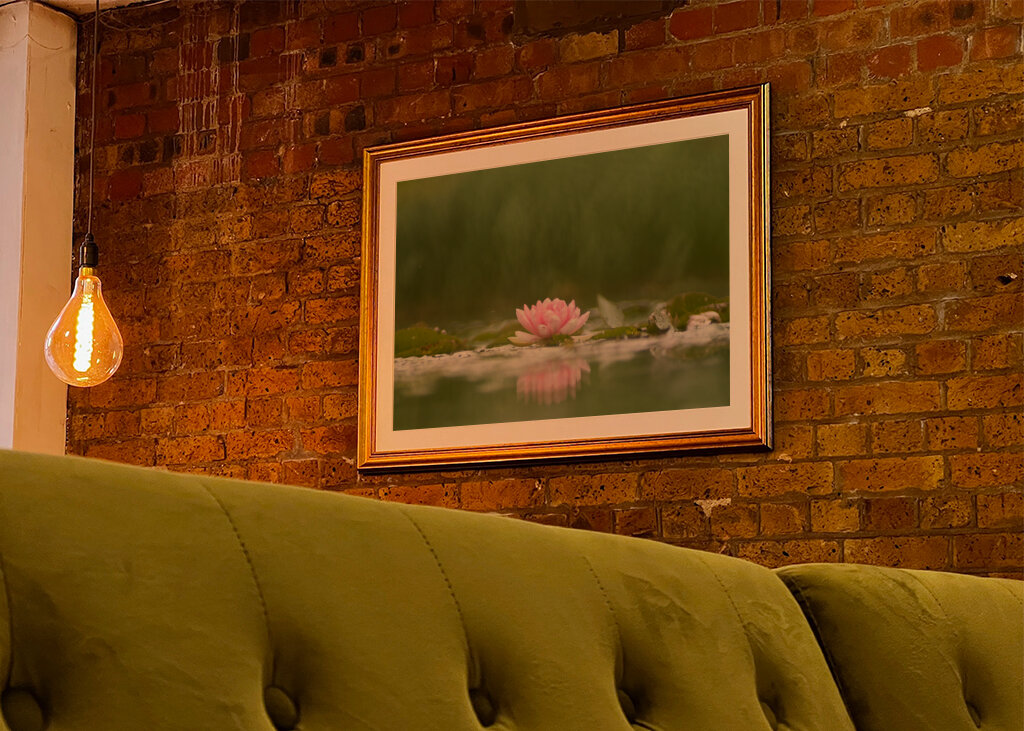 Sereniteit in bloei: de weerspiegeling van een waterlelie