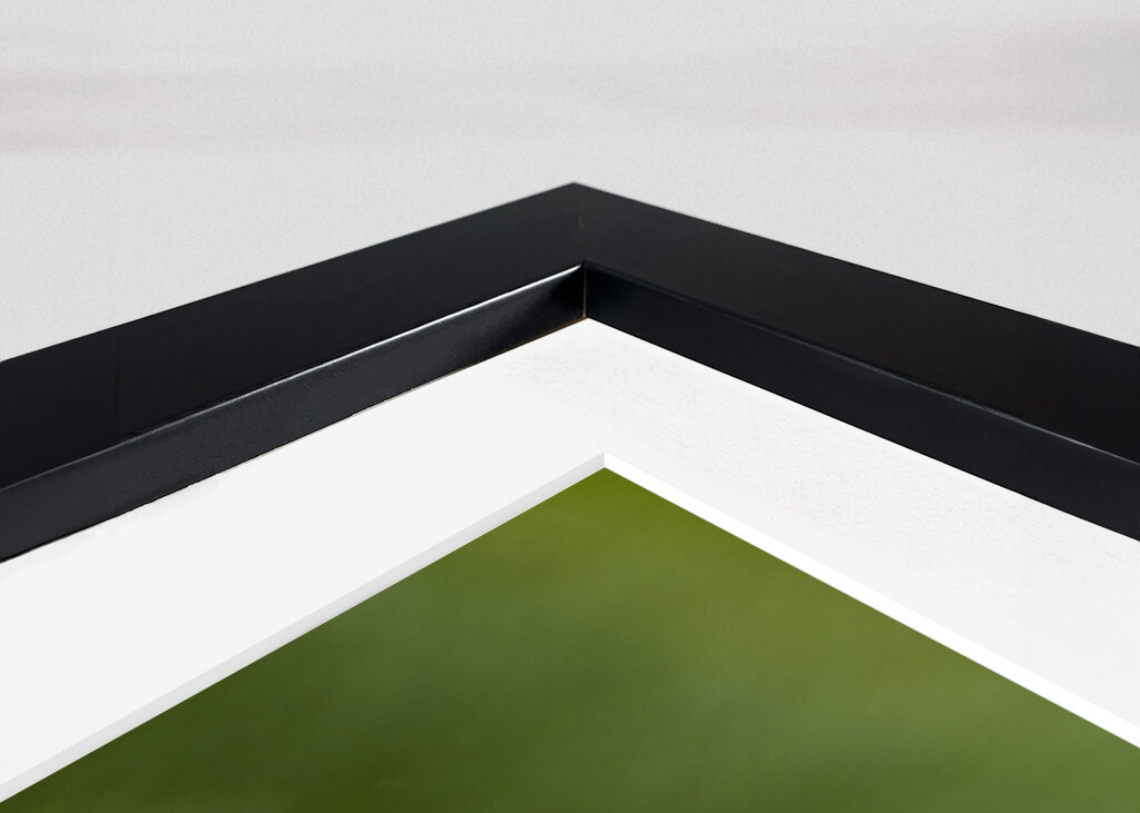 Sereniteit in bloei: de weerspiegeling van een waterlelie