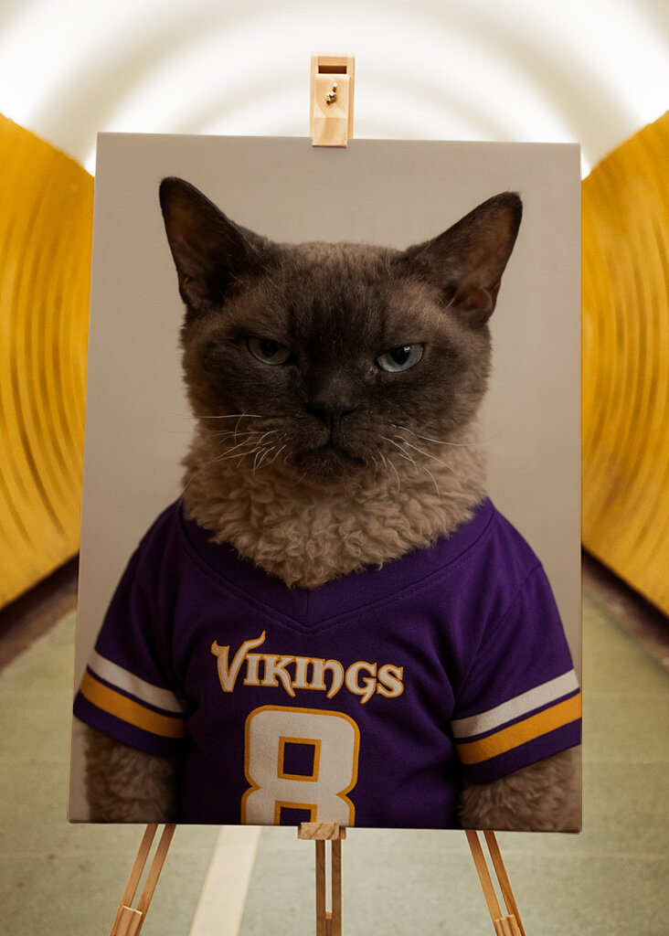 Die ultimative Vikings Supporter-Katze