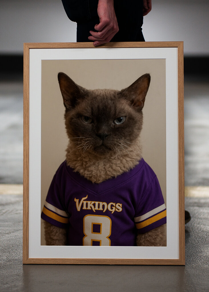 Die ultimative Vikings Supporter-Katze