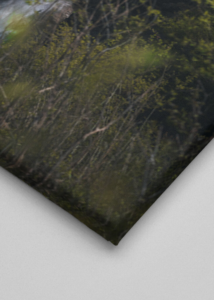 Flüstern der Natur: Ein ruhiger Wasserfall in der Wildnis