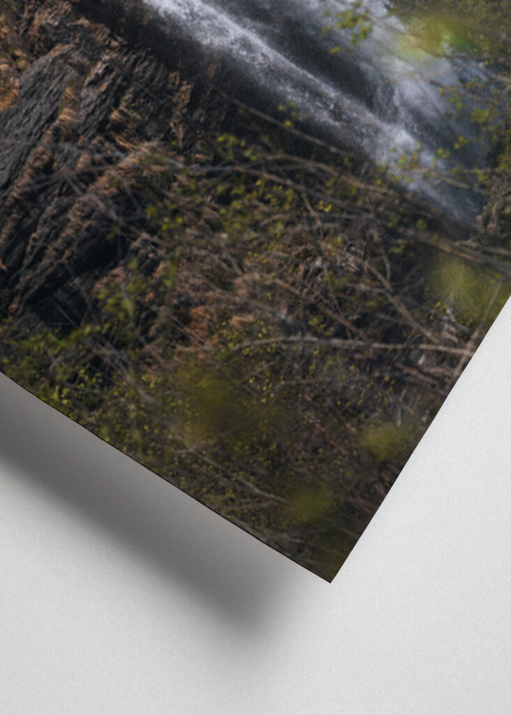 Flüstern der Natur: Ein ruhiger Wasserfall in der Wildnis