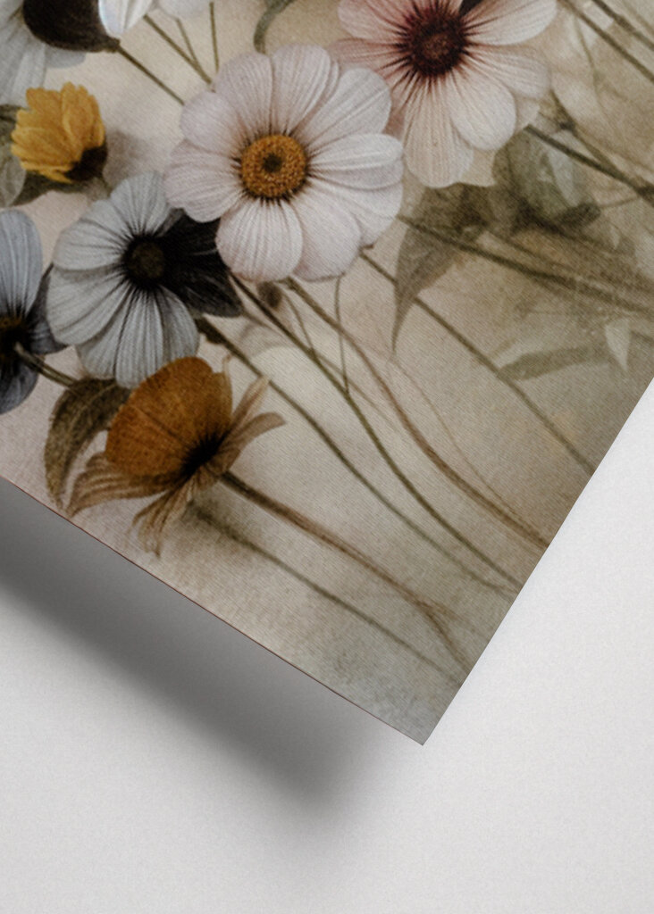 Whispers of Serenity