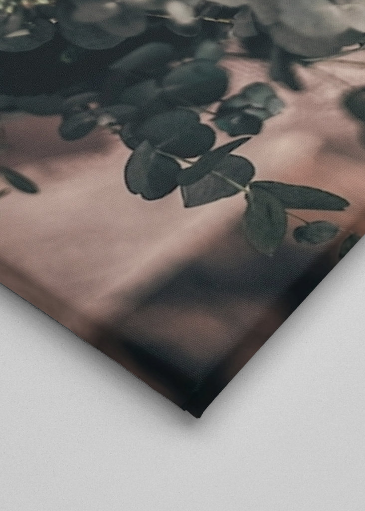 Casamento dos Sonhos