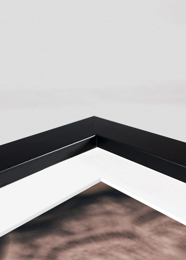 Casamento dos Sonhos