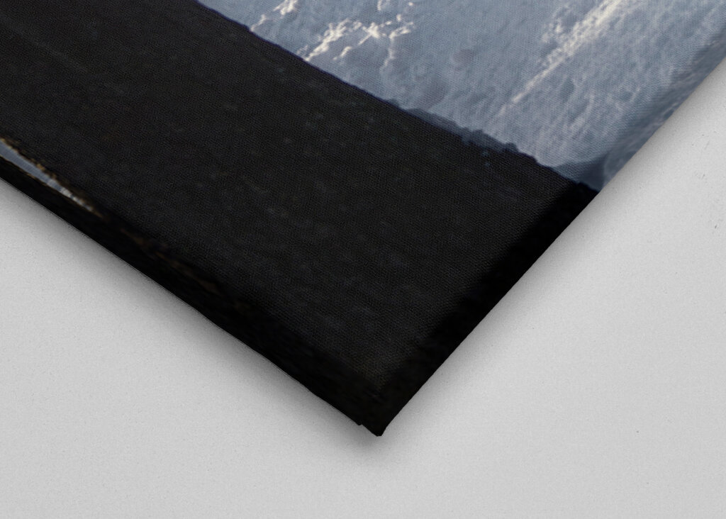 Where the Forest Sleeps