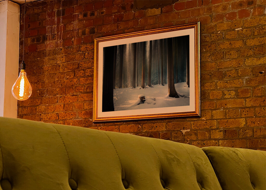 Where the Forest Sleeps