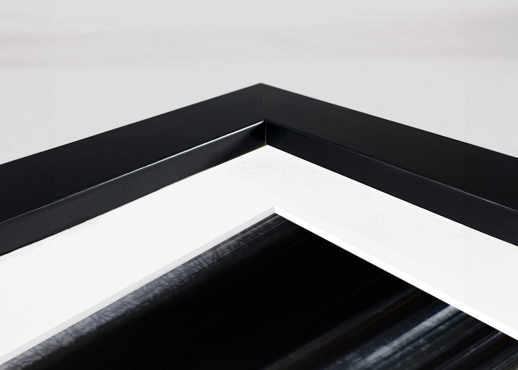 Where the Forest Sleeps