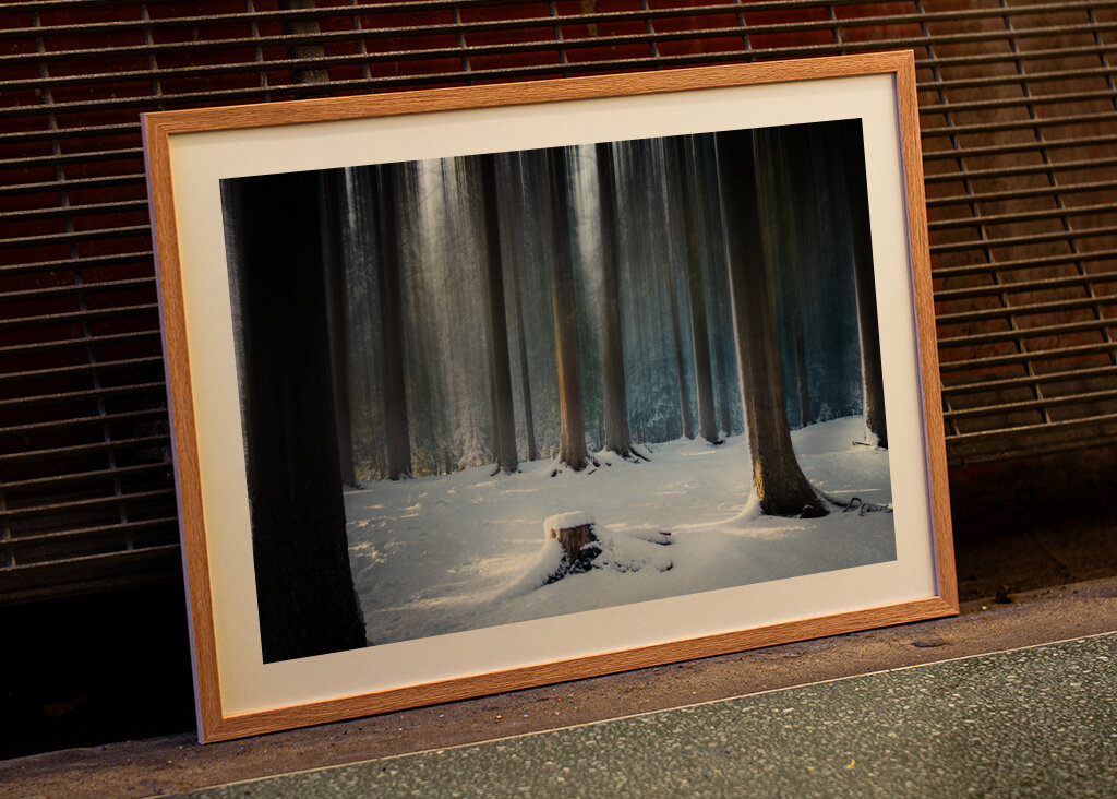 Where the Forest Sleeps