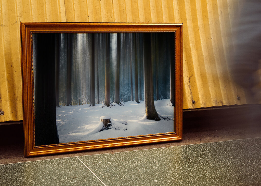 Where the Forest Sleeps