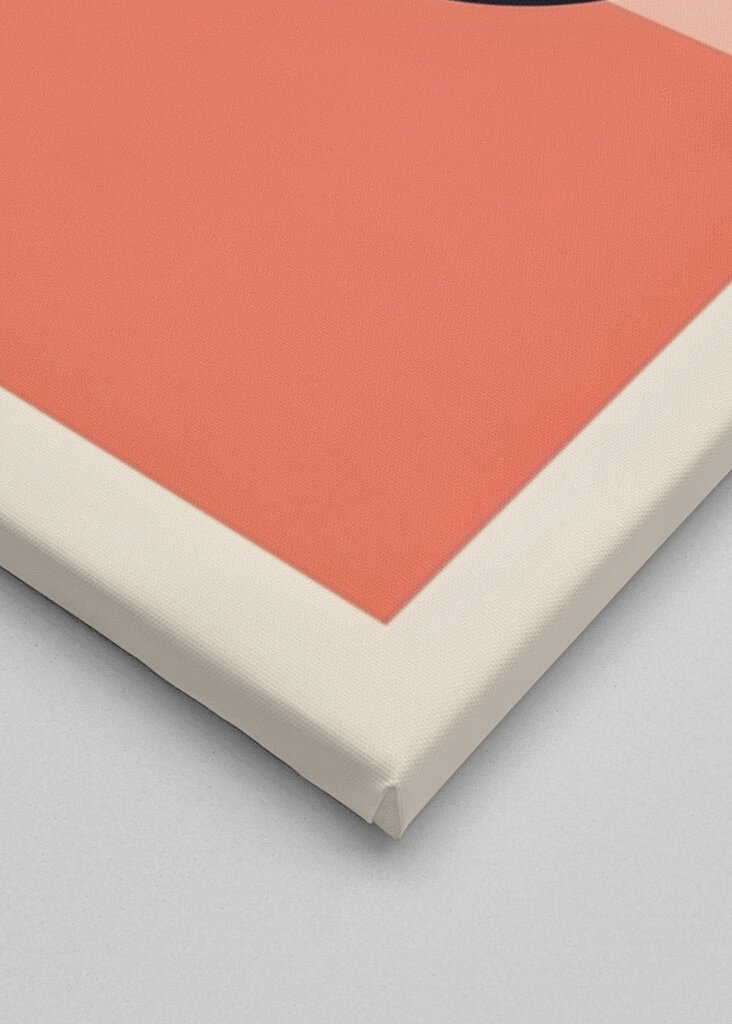 Happy Whale: En minimalistisk havglæde