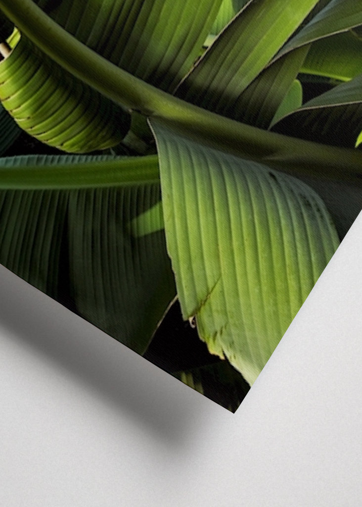 Tancujte a oni přicházejí